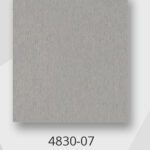 4830-07 Satin Stainless +$69.00