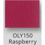 Raspberry $0.00