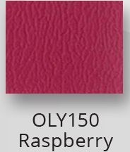 OLY150 Raspberry +$49.00