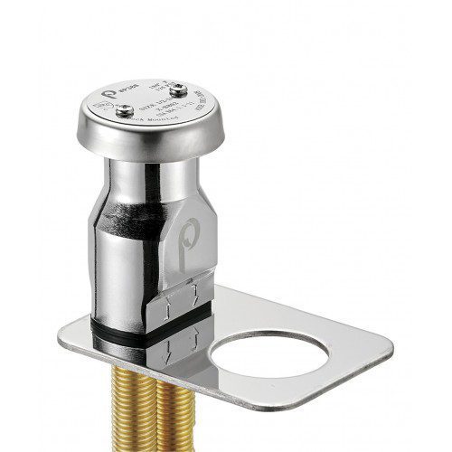 Pibbs P389C Vacuum Breaker Kit Plus Special Plate