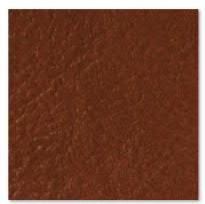 Burkshire Earth 31 $0.00